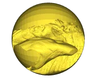 The same translucent sphere seen from the other side of the dinosaur