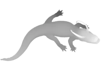 Greyscale distance map of the crocodile with the nearest points white
