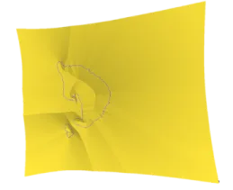 First distance map surface with a small dashed closed contour