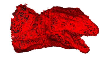 Dense red crocodile point cloud with every captured point shown