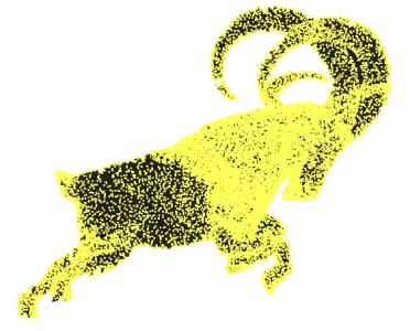 Yellow point cloud of a horned ram before triangulation