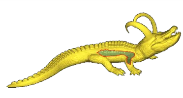 Crocodile mesh with a hole outlined in red on its back before repair
