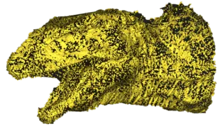 point cloud processing