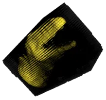 Voxels Iso Surface Features (